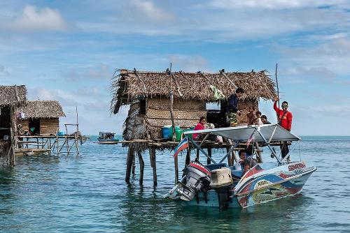 Ocean nomads: forced to make a living by creating a "special" body, evolution goes beyond human capabilities
