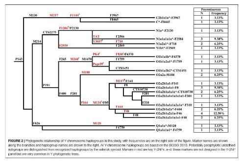 Ancient DNA at Dunhuang Foye Miaowang shows ethnic migration in Dunhuang area during Sixteen Kingdoms period.
