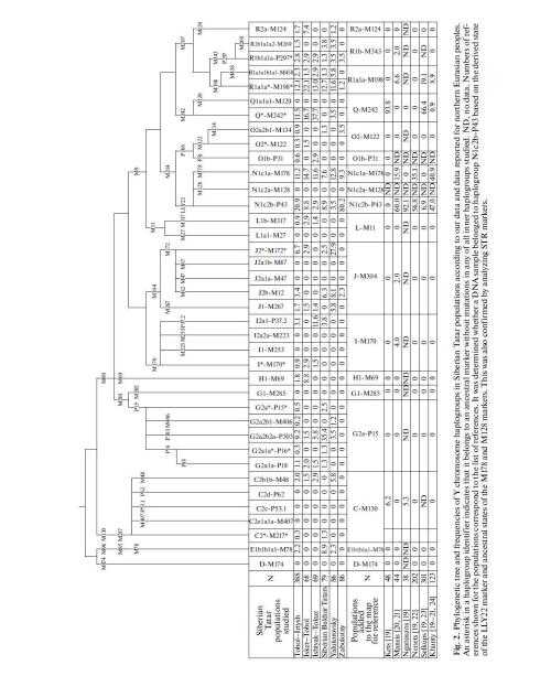 Y-chromosome information from Siberian Tatars 4% linked to Mongol conquerors
