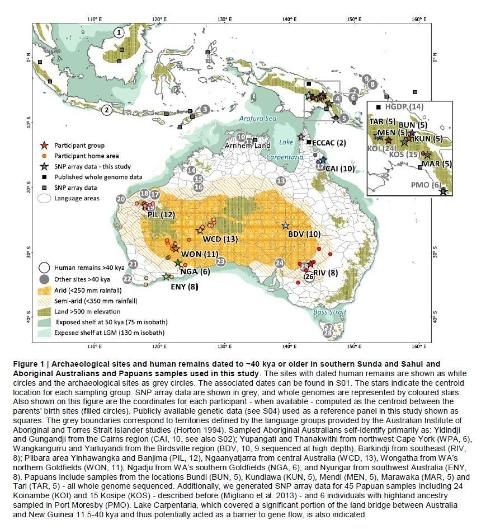 Genetic history of Australian aborigines
